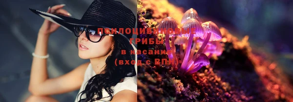 молекула духа Дмитриев