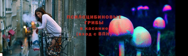 молекула духа Дмитриев