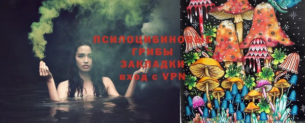 spice Гусь-Хрустальный