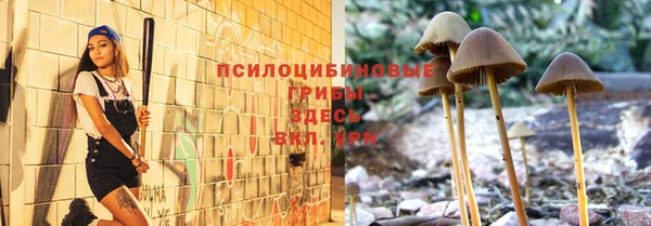 spice Гусь-Хрустальный