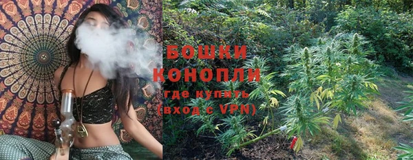 молекула духа Дмитриев