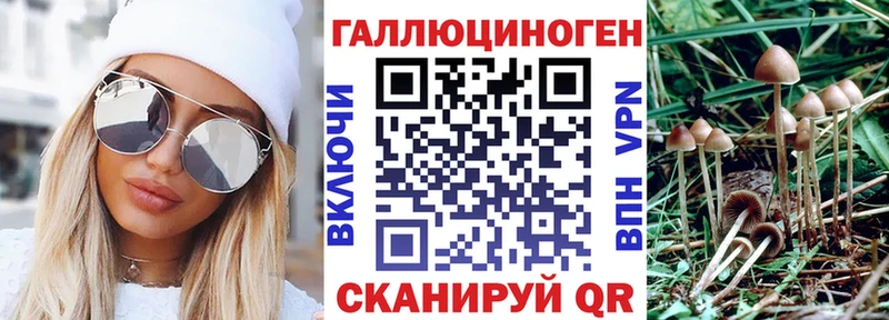 Галлюциногенные грибы ЛСД где можно купить ссылка на мегу ССЫЛКА Копейск